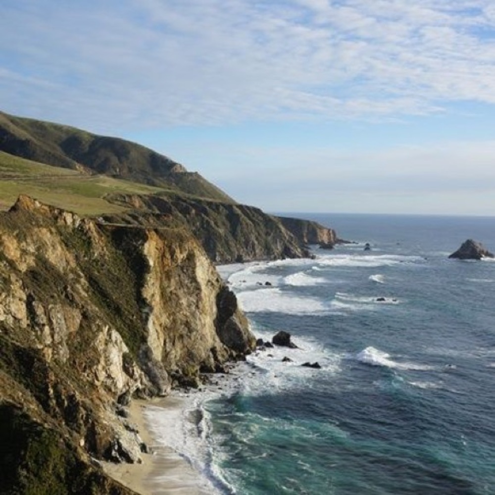 Meet your Posher, Savannah